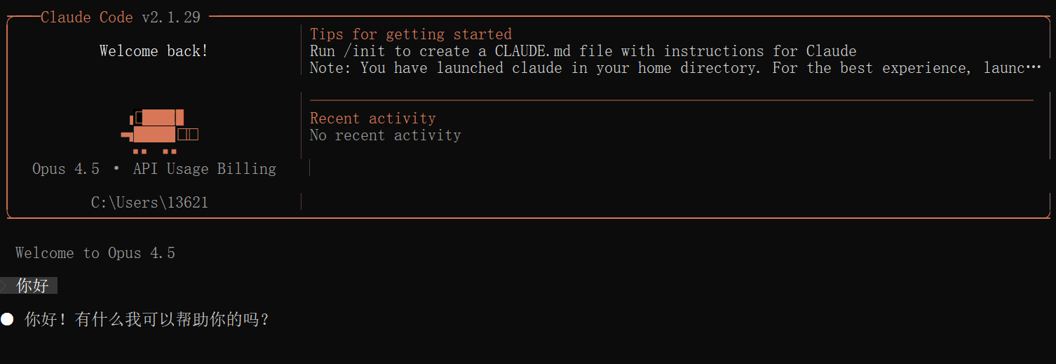 Claude Code 终端界面